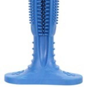 MOUNTAIN WAREHOUSE DOG TOOTH BRUSH TOY-BLUE
